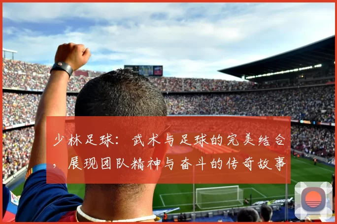 少林足球：武术与足球的完美结合，展现团队精神与奋斗的传奇故事