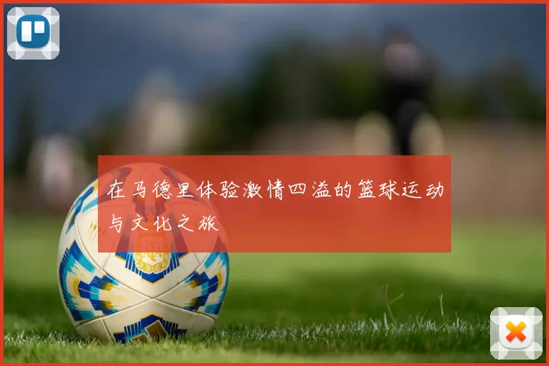 在马德里体验激情四溢的篮球运动与文化之旅