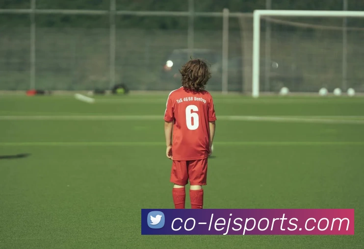 乐竞体育平台生态图